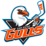 SD GULLS